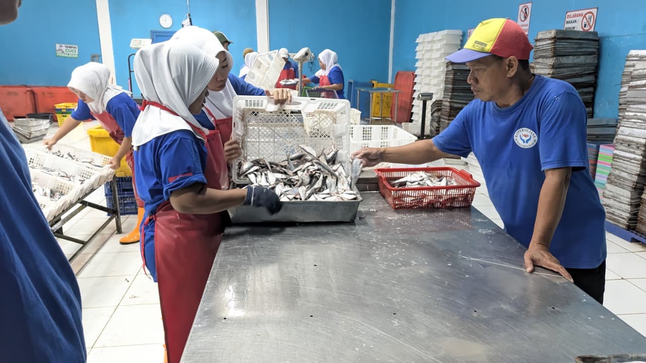 Pelatihan Penanganan Ikan Segar untuk karyawan baru