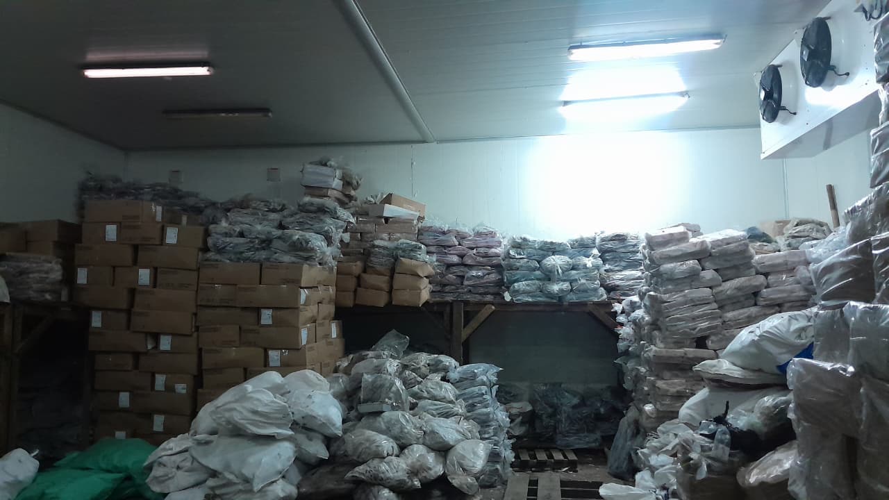 Jasa Penitipan Ikan Beku 2